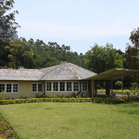 Ama Stays And Trails Tea Estate Bungalows , Munnar Kültér fotó